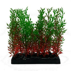 Fish Gear Foreground Red & Green Hygrophila Aquarium Plant (4")