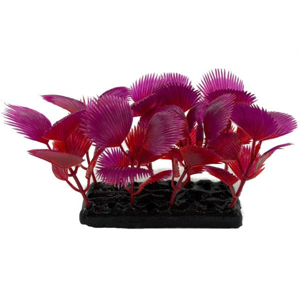 Fish Gear Foreground Red Palm Aquarium Plant (4")
