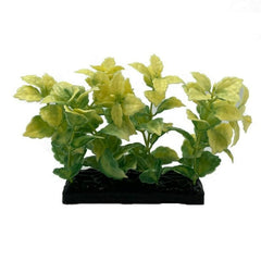 Fish Gear Foreground Yellow & Green Ludwigia Aquarium Plant (4")
