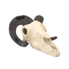 Fish Gear Rams Skull Aquarium Ornament