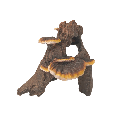 Fish Gear Root Cluster with Mushrooms Aquarium Ornament