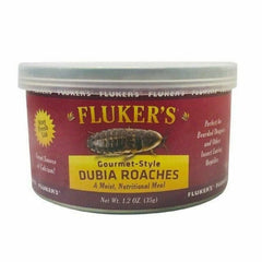 Fluker's Gourmet-Style Dubia Roaches