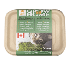 Lucky Kitty Grow @ Home Cat Grass Home Grow Kit; Wheat
