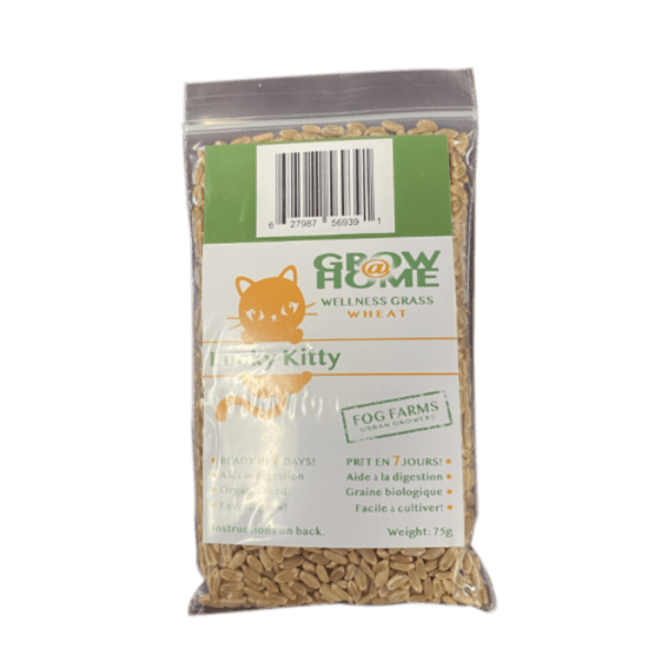 Lucky Kitty Grow @ Home Cat Grass Home Grow Kit; Wheat Refill Pack