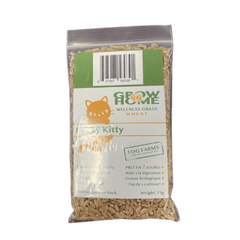 Lucky Kitty Grow @ Home Cat Grass Home Grow Kit; Wheat Refill Pack