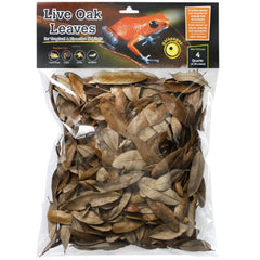 Galápagos Natural Live Oak Leaf Litter