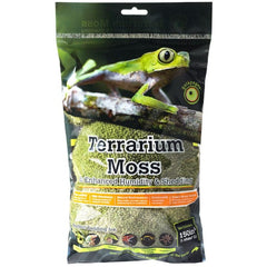 Galápagos Pillow Moss