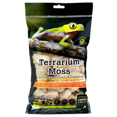 Galápagos Reindeer Moss