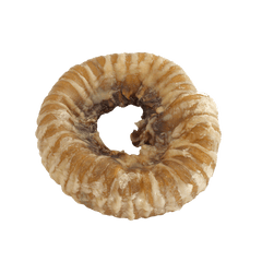 Golden Bridge Trachea Ring