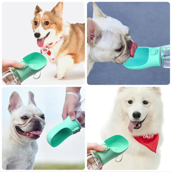 Dogs Drinking Bottle
