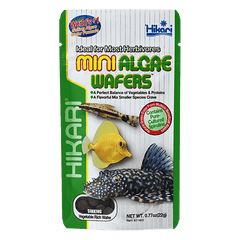 Hikari Tropical Mini Algae Wafers