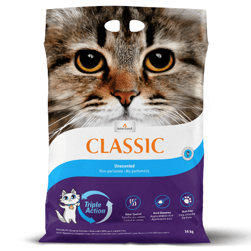 Intersand Classic Clumping Cat Litter