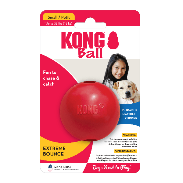 KONG Ball Dog Toy
