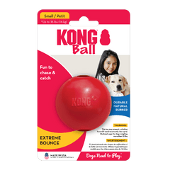 KONG Ball Dog Toy
