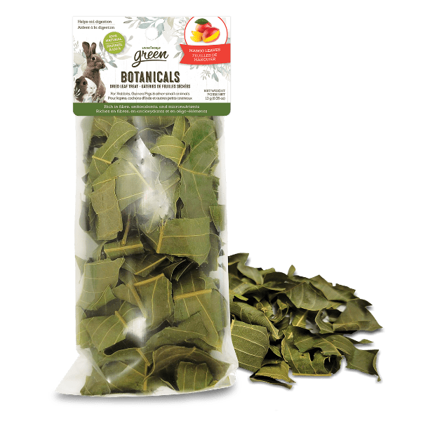 Living World Green Botanicals Dried Mango Leaves Treat