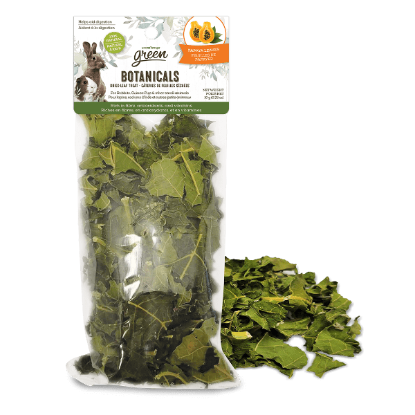 Living World Green Botanicals Dried Papaya Leaves Treat