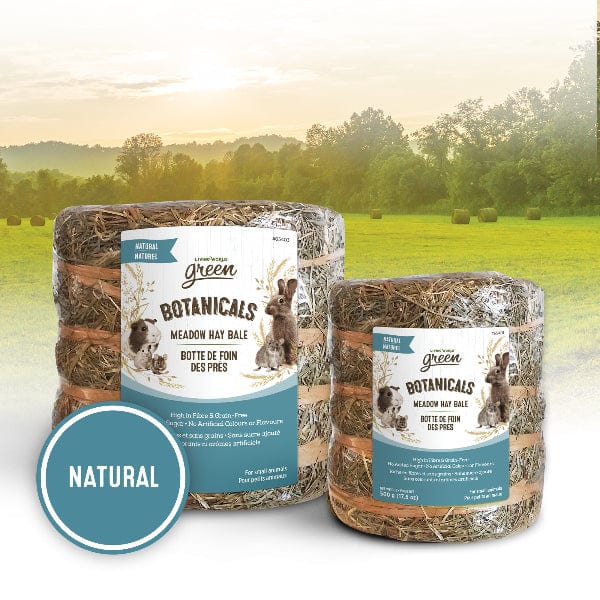 Living World Green Botanicals Meadow Hay Bale – Natural