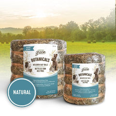 Living World Green Botanicals Meadow Hay Bale – Natural