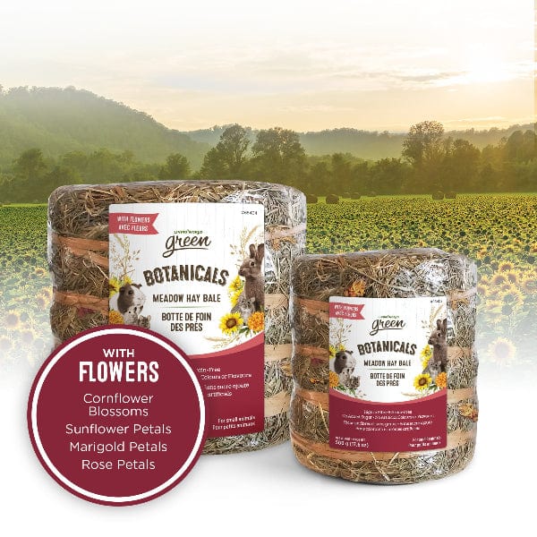 Living World Green Botanicals Meadow Hay Bale – with Flowers