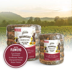 Living World Green Botanicals Meadow Hay Bale – with Flowers