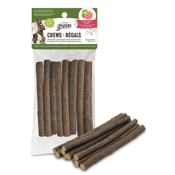 Living World Green Chews - Guava Wood Sticks