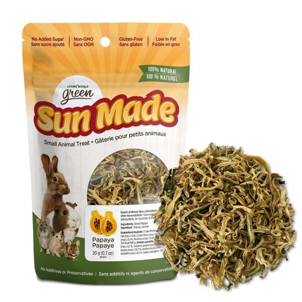 Living World Green Sun Made Dried Papaya Treat