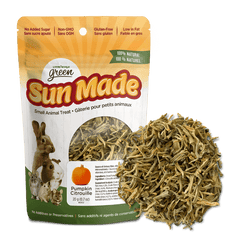Living World Green Sun Made Dried Pumpkin Treat