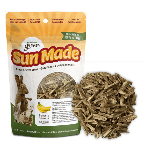 Living World Green Sun Made Dried Banana Treat