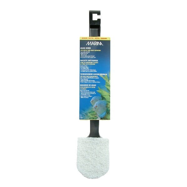 Marina Algae Scrubber with Plastic Handle