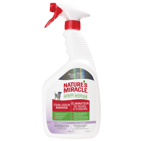 Nature's Miracle Lavender Scented Stain and Odor Remover
