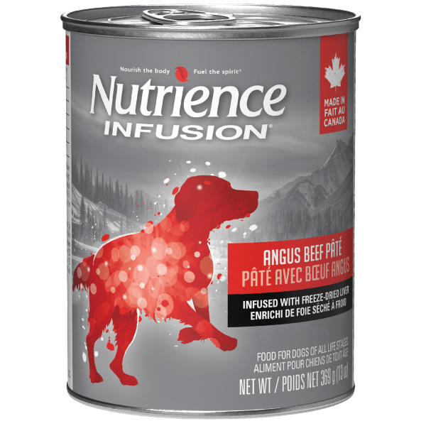 Nutrience Infusion Pate with Canadian Angus Beef Canned Dog Food