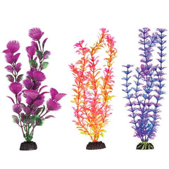 Aquaplant 12in Colorful 6pc Bag