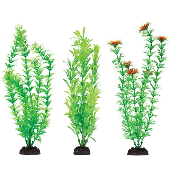 Aquaplant 12in Green 6pc Bag