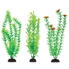 Aquaplant 12in Green 6pc Bag