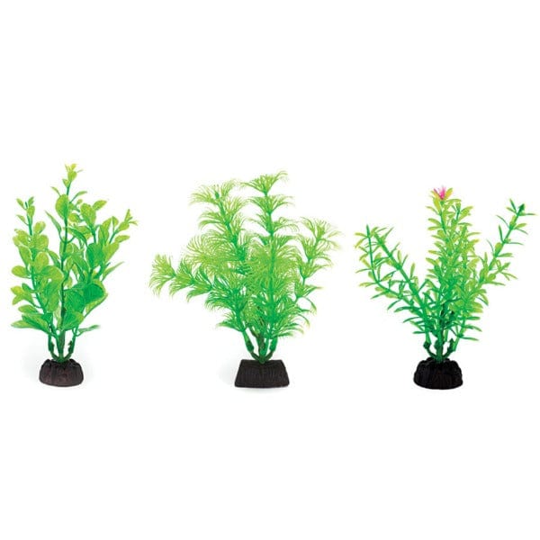 Aquaplant 4in Green 6pc Bag
