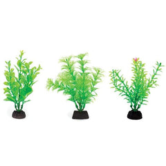 Aquaplant 4in Green 6pc Bag
