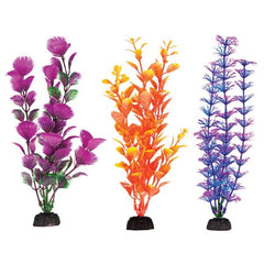 Aquaplant 8in Colorful 6pc Bag