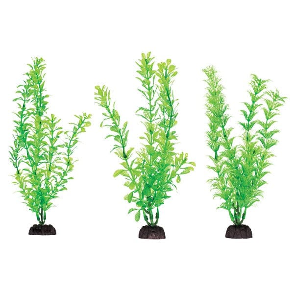 Aquaplant 8in Green 6pc Bag