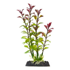 Finding Nemo Ludwigia Medium Red Plant Licensed