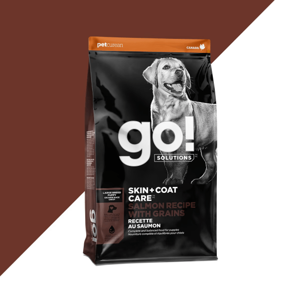 Go! Solutions Skin & Coat Care Large Breed Salmon Recipe with Grains Dry Puppy Food