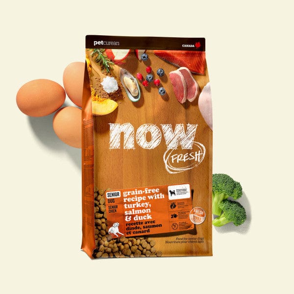 Now Fresh Turkey, Salmon & Duck Recipe Senior Dry Dog Food, 22lb