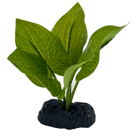 Fish Gear Anubias Nana Silk Betta Plant (4")