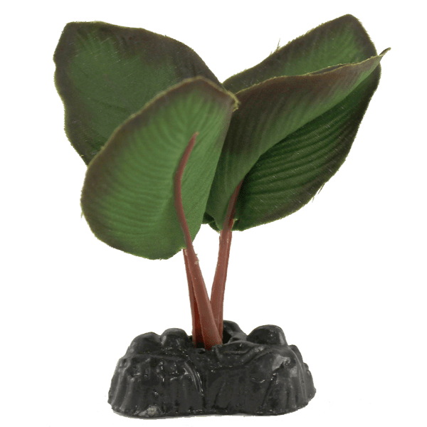 Fish Gear Anubias Silk Betta Plant (4")