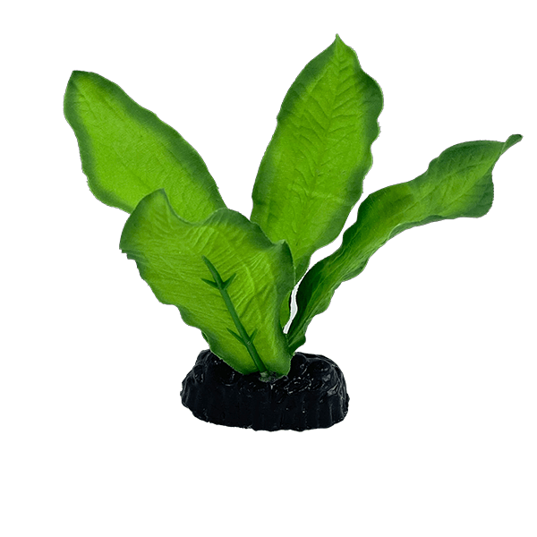 Fish Gear Green Sword Silk Betta Plant (4")