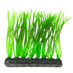 Fish Gear Narrow Leaf Green Foreground Aquarium Plant (4")