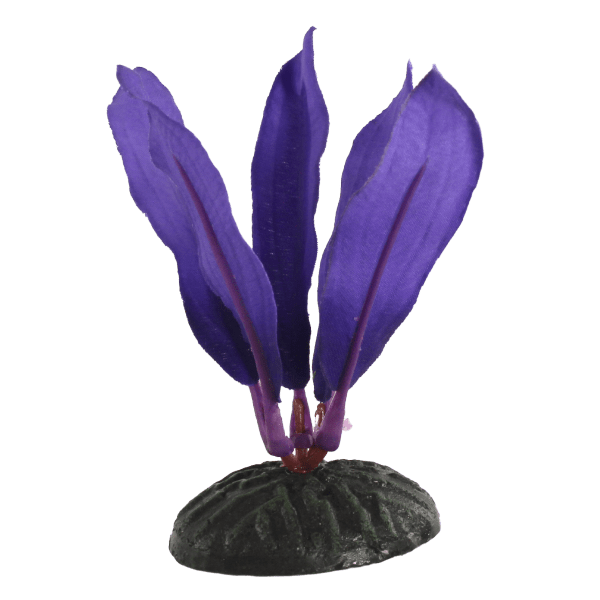Fish Gear Purple Dwarf Sword Silk Betta Plant (4")