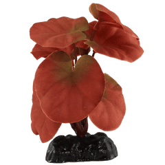 Fish Gear Red Cardamine Silk Betta Plant (4")