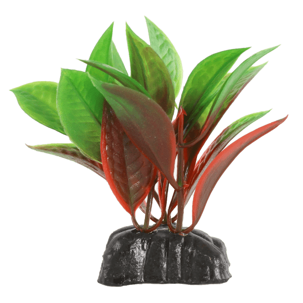 Fish Gear Red & Green Crypt Plastic Betta Plant (3")