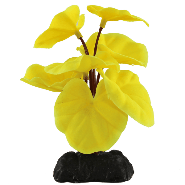 Fish Gear Yellow Cardamine Silk Betta Plant (4")