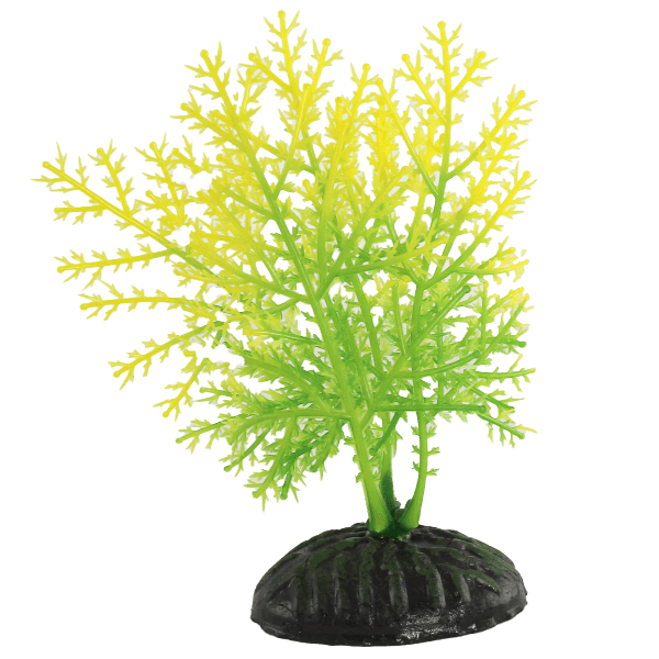 Fish Gear Yellow & Green Hygrophila Plastic Betta Plant (4")
